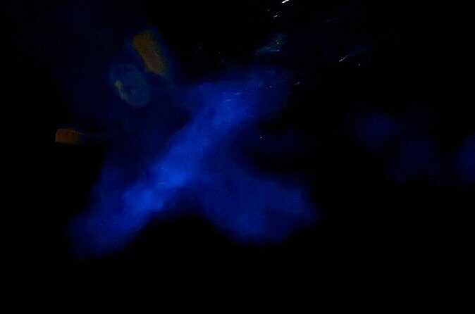 Bioluminescent Bay Boat Charter in Grand Cayman - The Sum Up