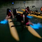 Bioluminescent Bay Chiliboats Waterbike Tour in La Parguera - The Value of the Experience