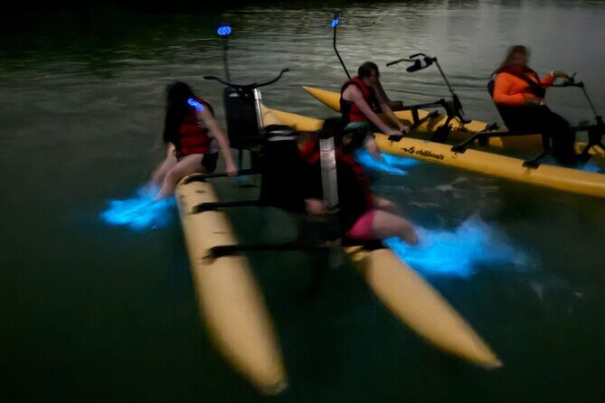 Bioluminescent Bay Chiliboats Waterbike Tour in La Parguera - The Value of the Experience