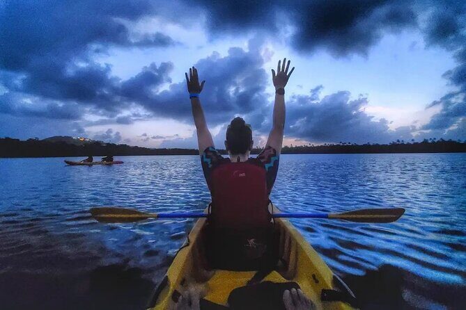 Bioluminescent Bay Kayak Tour in Fajardo Puerto Rico - Exploring the Tour Itself: What to Expect