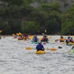 Bioluminescent Bay Night Kayaking, Fajardo - Why This Tour Is a Great Choice