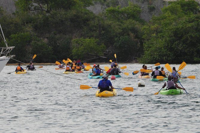 Bioluminescent Bay Night Kayaking, Fajardo - Why This Tour Is a Great Choice