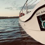 Bioluminescent Boat Tour in Mosquito Bay, Vieques - What’s Included and What’s Not