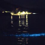 Bioluminescent Kayak Tour - What Makes This Tour Special?