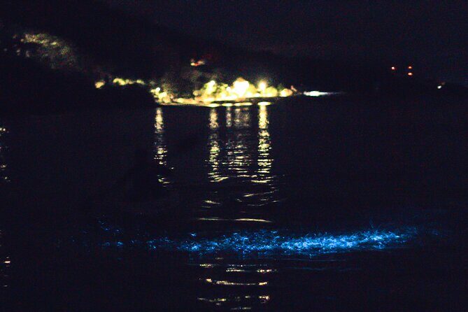 Bioluminescent Kayak Tour - What Makes This Tour Special?
