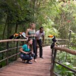 Bird Park & Iguassu Brazilian Side Gran Meliá Hotel Exclusive - Private Tour - Why This Tour Works Well