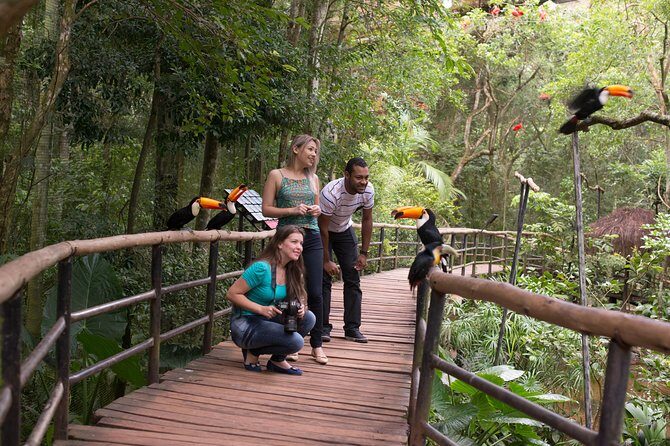 Bird Park & Iguassu Brazilian Side Gran Meliá Hotel Exclusive - Private Tour - Why This Tour Works Well