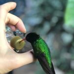 Bird Watcher's Paradise at Rockland Bird Sanctuary - Who Should Consider This Tour?