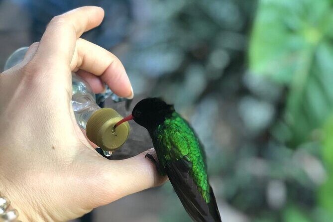 Bird Watcher's Paradise at Rockland Bird Sanctuary - Who Should Consider This Tour?