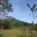 Bird Watching Arenal Oasis - Who Will Love This Tour?