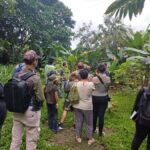 Bird Watching in Acacías Meta - What to Expect During the Tour