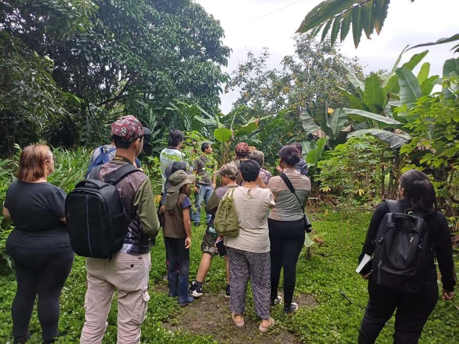 Bird Watching in Acacías Meta - What to Expect During the Tour