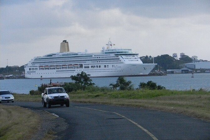 Birding Pipeline Road from Panama City or Gamboa - A Closer Look at the Tour Experience