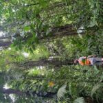 Birdwatching hiking tour - Exploring the Birdwatching Hiking Tour: An In-Depth Review