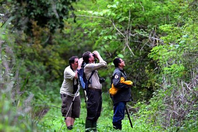 Birdwatching in Cerro Blanco from Guayaquil - Price and Value