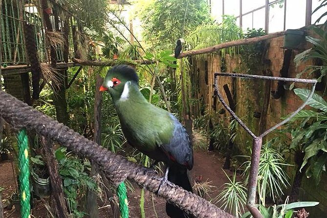 Birdwatching National Aviary Cartagena de Indias - The Sum Up: Is this tour worth it?