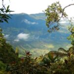 Birdwatching Private Tour at Chicaque Natural Park with Lunch - The Sum Up: Who Is This Tour Perfect For?