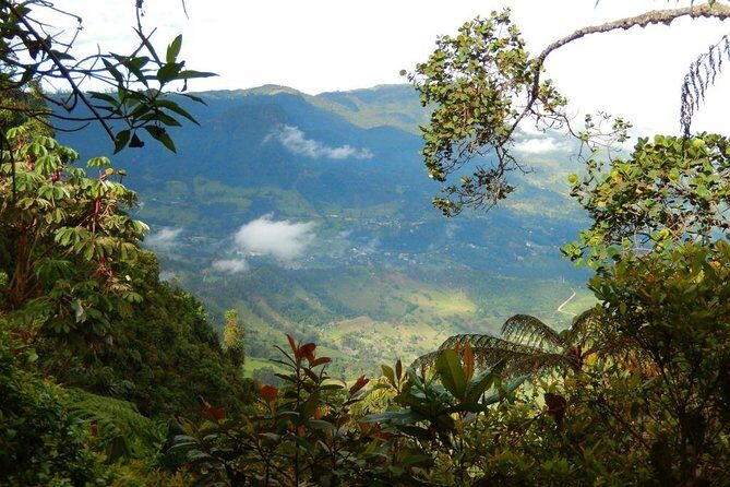 Birdwatching Private Tour at Chicaque Natural Park with Lunch - The Sum Up: Who Is This Tour Perfect For?