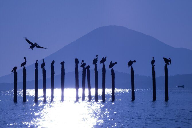 Birdwatching Tours in El Salvador With a Guide - Who Should Book This Tour?