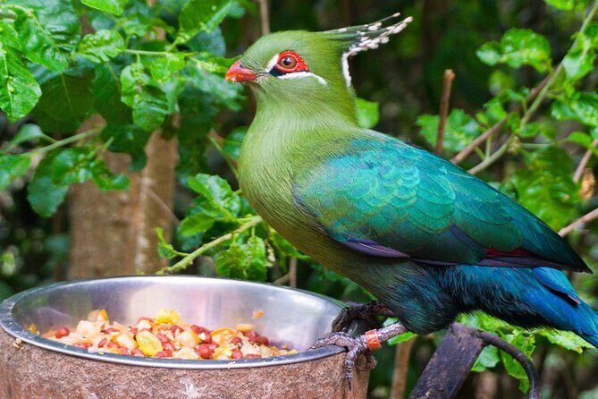Black Island Tour, Neruda Museum and Tricao Park with Lunch - Lunch at Nobel Neruda: A Feast of Chilean Flavors