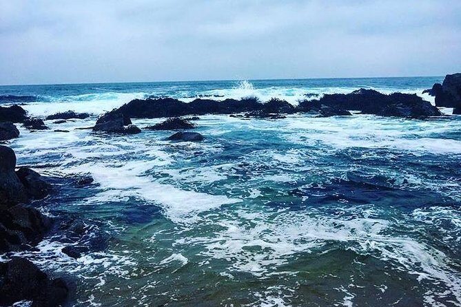 Black Island + Undurraga - Who Is This Tour Best For?