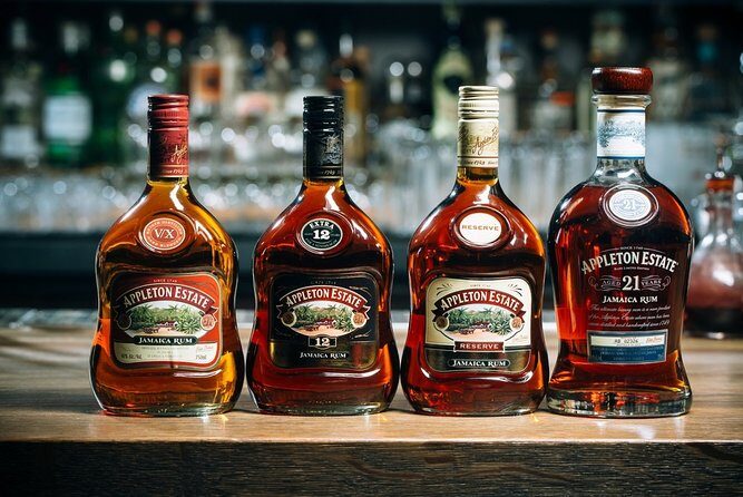 Black River Safari and Appleton Rum Estate Private Tour - Who Is This Tour Best Suited For?