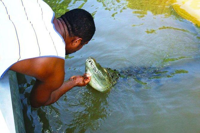 Black River Safari with Transport from Montego Bay - Value and Practicality