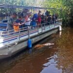 Black River Safari * YS Falls * Appleton Rum Tour - Transportation, Timing, and Overall Value