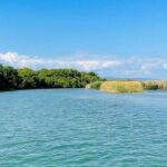 Black River Safari YS Falls Lunch Classic Combo From Negril - Frequently Asked Questions