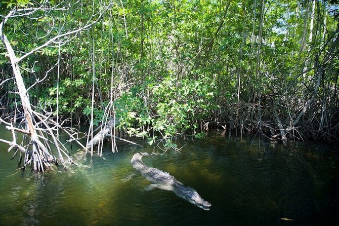Black River Safari/YS Falls plus Floyd's Pelican Bar Private Tour - What We Value Most