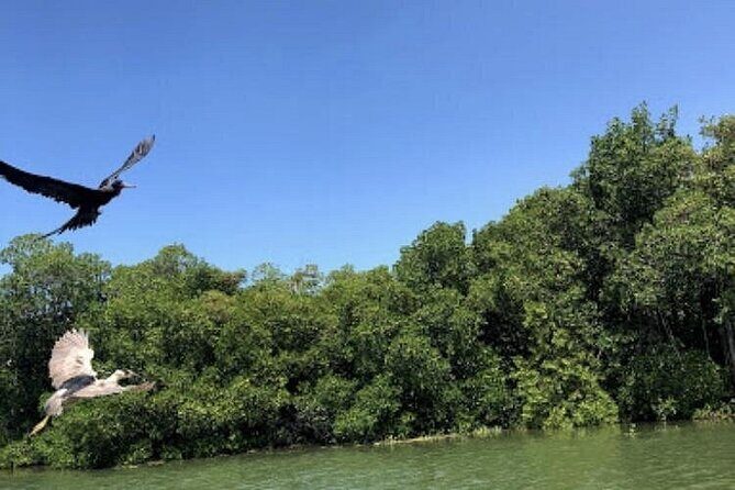 Black River Safari - Exploring the Black River Safari in Depth