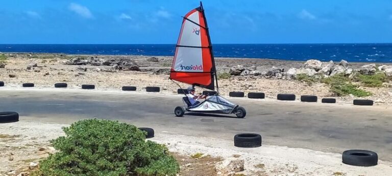 Blokart Landsailing on the shores of the Caribbean Bonaire - The Experience in Practice: Insights from Travelers
