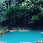Blue Hole and Dunn's River Falls Tour from Montego Bay - What to Expect on the Tour