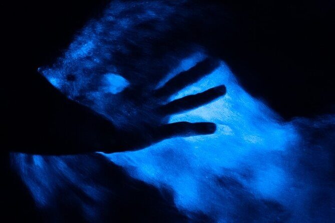 Blue Hole and Secret Falls with Luminous Lagoon(Glistening Waters) Private Tour - The Logistics: Comfort, Timing, and Value