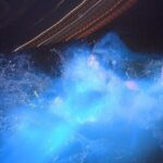 Blue Hole Island Gully and Glistening Water Lagoons night Tour - What’s Included & What to Consider