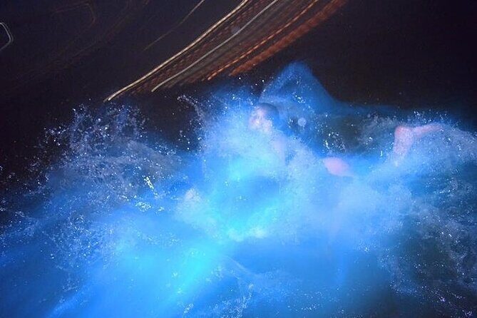 Blue Hole Island Gully and Glistening Water Lagoons night Tour - What’s Included & What to Consider