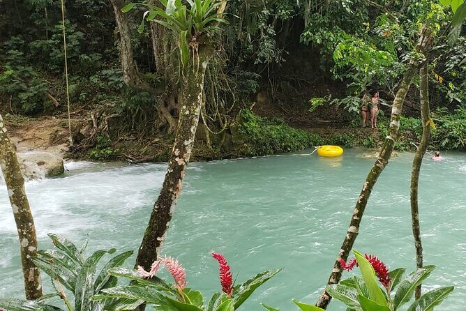 Blue Hole Jamaica Tours from Montego Bay - Who Should Consider This Tour?