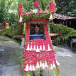 Blue Hole Secret Falls & O/Rios Highlight View Scenic Fern Gully - FAQs About the Blue Hole & Fern Gully Tour