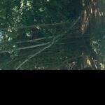 Blue hole waterfalls tour from Ocho Rios - Who Will Love This Tour?