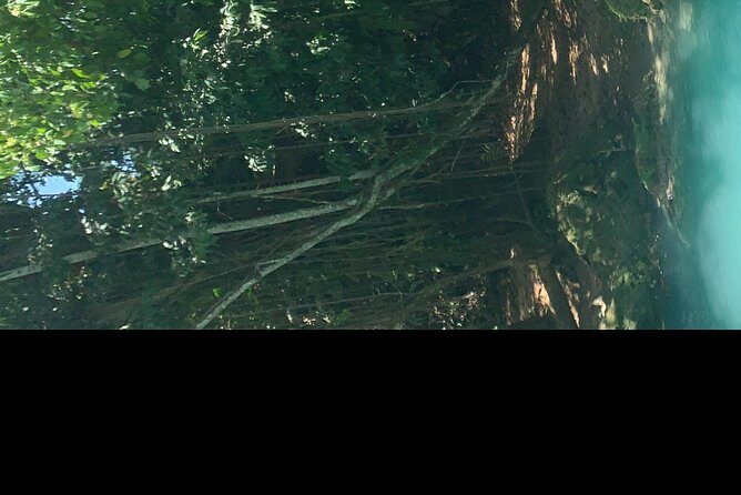 Blue hole waterfalls tour from Ocho Rios - Who Will Love This Tour?