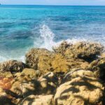 Blue Lagoon & Laguna el dudu from puerto plata - A Deep Dive into the Blue Lagoon & Laguna El Dudu Experience