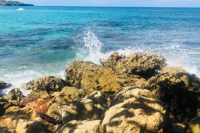 Blue Lagoon & Laguna el dudu from puerto plata - A Deep Dive into the Blue Lagoon & Laguna El Dudu Experience