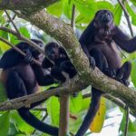 Blue Lagoons Personalized Waterfall Hike, Lunch & Hot Springs - FAQ