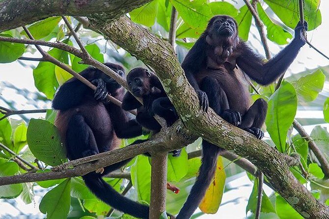 Blue Lagoons Personalized Waterfall Hike, Lunch & Hot Springs - FAQ