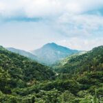 Blue Mountain Bicycle Tour - The Sum Up: Who Should Consider This Tour?