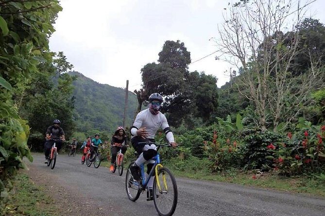 Blue Mountain Bicycle Tour from Port Antonio