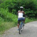 Blue Mountain Bicycle Tour from Runaway Bay - A Deep Dive into the Blue Mountain Bicycle Tour