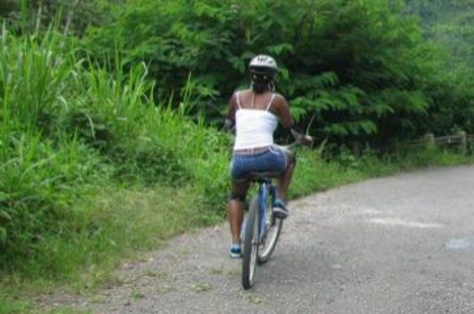 Blue Mountain Bicycle Tour from Runaway Bay - A Deep Dive into the Blue Mountain Bicycle Tour