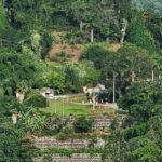 Blue Mountain Coffee Hike and Tour - A Detailed Breakdown of the Itinerary