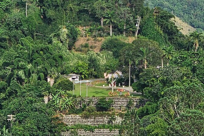 Blue Mountain Coffee Hike and Tour - A Detailed Breakdown of the Itinerary